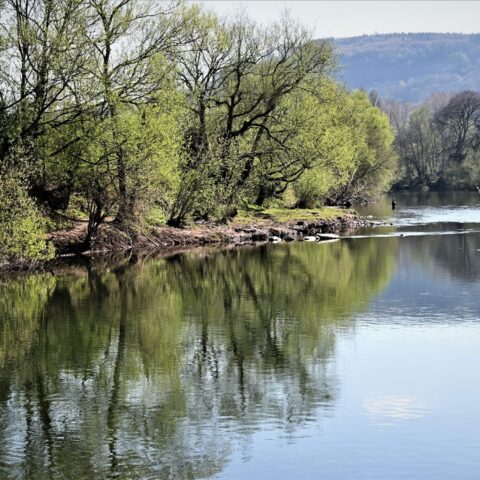 River Usk – Baker’s Beat